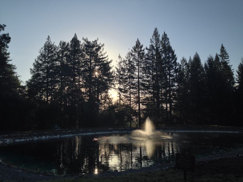 File:Pema Osel Ling - Upper Pond.jpg